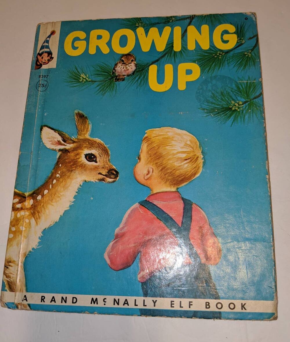 Vintage 1956 Growing Up Children's HC Rand McNally Elf Bpok